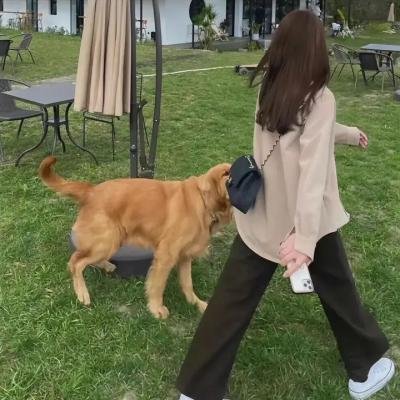 春情妃子